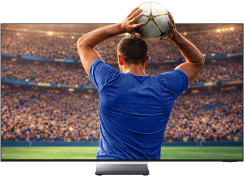 65" Samsung MRE65R95H Main image 65" Samsung MRE65R95H - Television - Main image