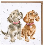 Wrendale Designs Wish Dachshunds - Greeting Card