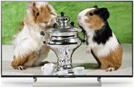 55" Sony Bravia KD-55XF8096 - Television