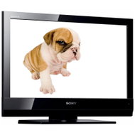 19" SONY Bravia KDL-19BX200BAEP - Television