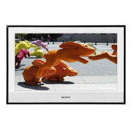 Sony Bravia KDL-32E4000AEP - Television