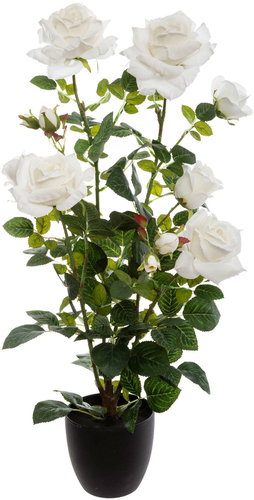 ATMOSPHERA Artificial potted plant Rose 74 cm, white - Artificial Flower - Main image