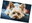 Yorkshire Terrier 40 × 60 cm