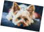 Excellent Protiskluzová podložka Dog - Jorkšírský teriér 40 × 60 cm - Koupelnová předložka