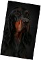 Excellent Mikroplyšová hřejivá deka 150 × 200 cm – Kokršpaněl černý s pálením - Deka