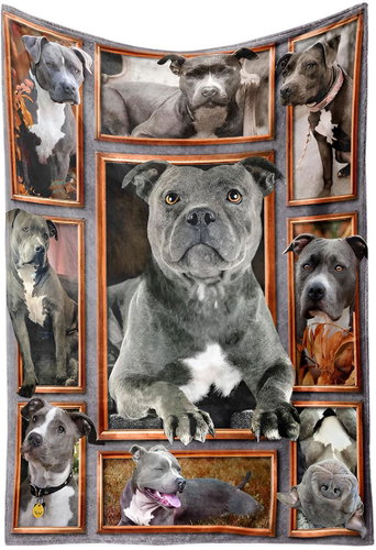 Excellent Microplush warm blanket 150 × 200 cm - American Pit Bull Terrier grey - Blanket - Main image