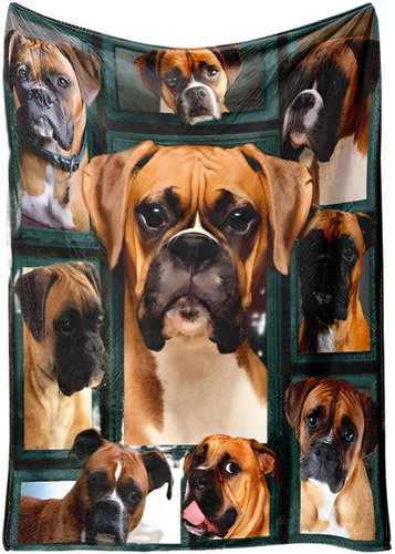 Excellent Micro plush warm blanket 150 × 200 cm - Boxer - Blanket - Main image