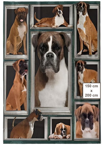 Excellent Microplush warm blanket 150 × 200 cm Boxer/2 - Blanket - Main image