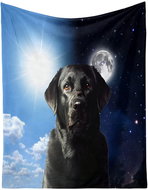 Excellent Micro plush warm blanket 150 × 200 cm Labrador/Day and night - Blanket