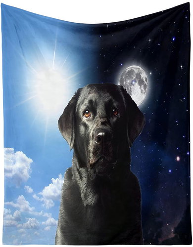 Excellent Micro plush warm blanket 130 × 150 cm - Labrador / Day and night - Blanket - Main image