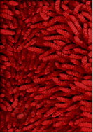 Eurofirany Bathroom rug 75 × 150 cm Shaggy red - Bath Mat