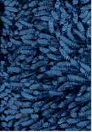 Eurofirany Koupelnová předložka/kobereček 75 × 150 cm Shaggy modrá - Koupelnová předložka