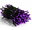 Purple, 8 programs