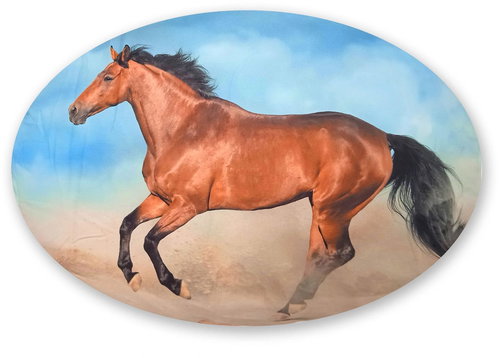Excellent Decorative pillow oval - Brown horse - Pillow - Main image