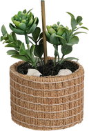 H&L Succulent in natural pot Natural 9 × 9 × 15 cm, variant B - Artificial Flower