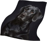 Excellent Micro plush warm blanket black 150 × 200 cm - Black Labrador - Blanket