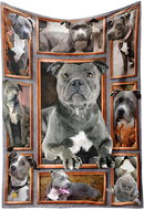 Excellent Microplush warm blanket 180 × 200 cm - American Pit Bull Terrier grey - Blanket
