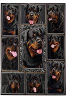 Excellent Micro plush warm blanket 150 × 200 cm - Rottweiler/2 - Blanket