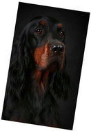 Excellent Micro plush warm blanket 100 ×150 cm - Cocker Spaniel black and tan - Blanket