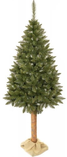 Donoci Christmas tree - spruce, on a trunk 180 × 120 cm - Christmas Tree - Main image
