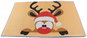 Doormat APT DA322 Mats with Christmas motif 60 × 40 cm - Rohožka