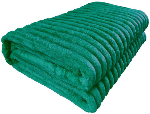 4sleep Microplush blanket 160 × 200 cm Viola, green - Blanket - Main image