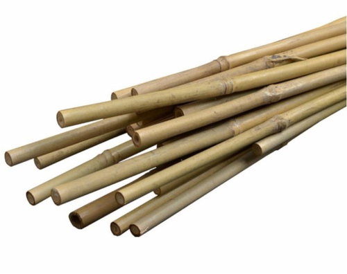 Igotrend Plant rod Bamboo ? 2-2,2 × 150 cm, set of 10 - Plant Support - Main image