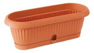 Prosperplast květináč kaktusový Terra DCK1, terakota 5 ks - Flower Pot