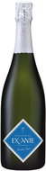 Ex Ante by Alexandre Penet 0.75l 12% - Champagne