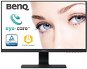 23.8" BenQ GW2480L - LCD monitor