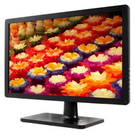 BenQ V2410ECO black - LCD Monitor
