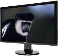 24 "BenQ GL2450  - LCD Monitor