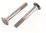 WT WINTECH Door bolt M8 × 30 DIN 603 stainless steel A2 / pack 100 pcs - Screws