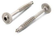 WT WINTECH HBS with plate head TX40 8,0 × 120/80 A2 / pack of 50 pcs - Self-Tapping Screws