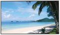 49" Dahua LM49-S400