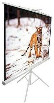 ELITE SCREENS, hordozható 119" (1:1)