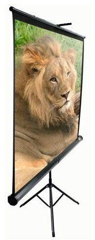 ELITE SCREENS, vetítővászon, hordozható tripoddal, 136