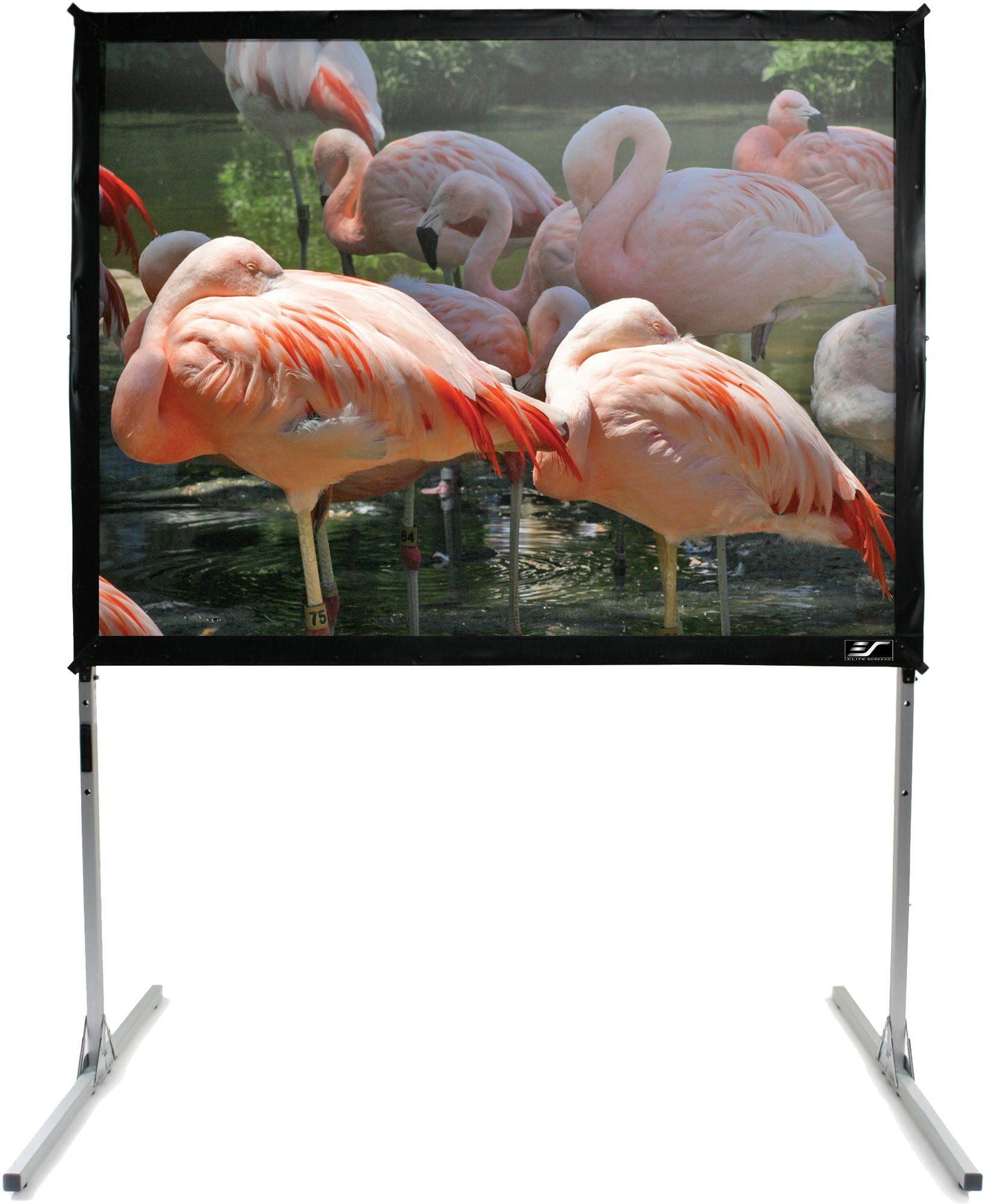 ELITE SCREENS, állványos 180"(16:9)