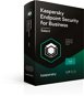 Kaspersky Endpoint Select 10 Geräte 2 Jahre, Übergangslizenz (elektronische Lizenz) - Sicherheitssoftware