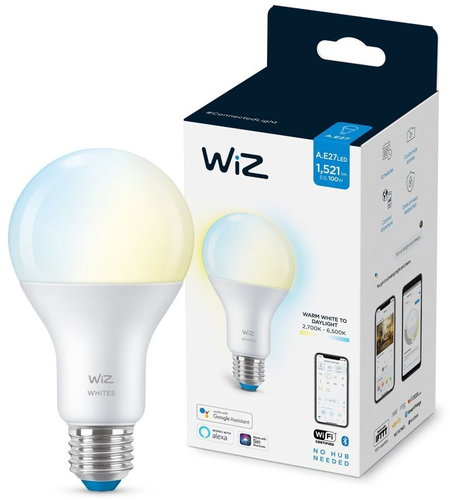 WiZ Tunable White 100W E27 A67 - LED Bulb - Main image