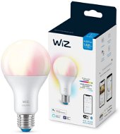 WiZ Colors 100W E27 A67 - LED žárovka