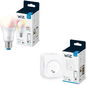 WiZ E27 RGB A60 + WiZ Smart Plug - LED izzó