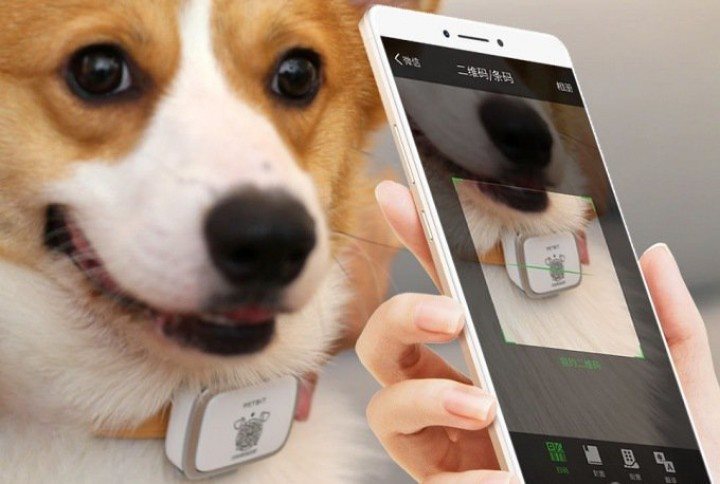 Xiaomi 2024 dog tracker