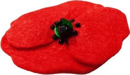 Poppy “War Veterans Day“ - Charity - Main image