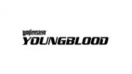 Wolfenstein: Youngblood - PC Game
