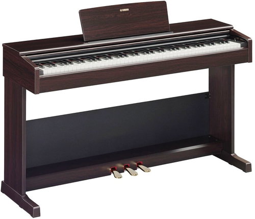 Yamaha YDP 105 Rosewood - Digital Piano - Main image