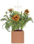 Pret a Pousser Nano Ceramic Terracota - Smart Flower Pot