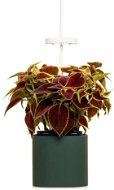 Pret a Pousser Nano Forest Green - Smart Flower Pot