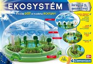  Ecosystem  - -