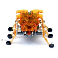 HEXBUG orange Squash bug - Mikroroboter
